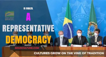 Exploring Brazil's Democracy: Representative or Not?