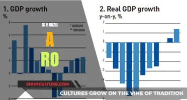 Exploring Brazil's Economic Potential: A Rising Star in the Global Market?