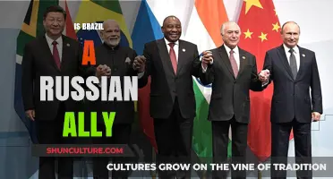 Brazil and Russia: An Analysis of Their Geopolitical Alliance