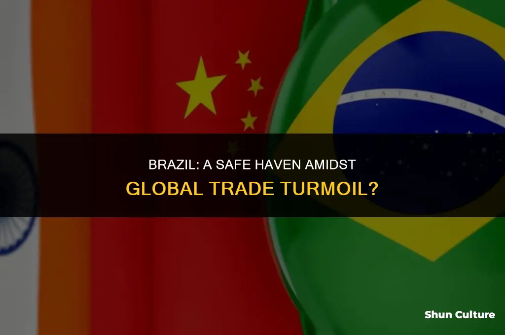 is brazil a safe haven from traid war