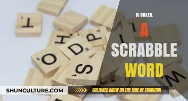 Exploring the Lexicon: Is 'Brazil' a Valid Scrabble Word?