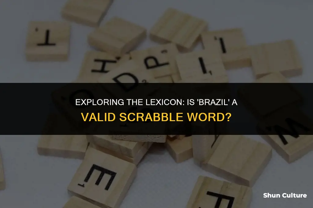 is brazil a scrabble word