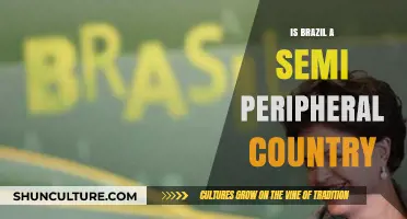Is Brazil a Semi-Peripheral Nation? Exploring Its Global Position