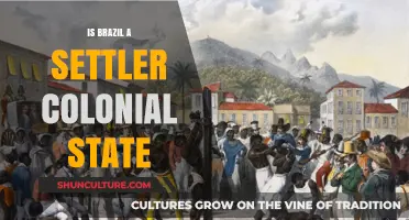 Examining Brazil's Colonial Legacy: Settler State or Not?
