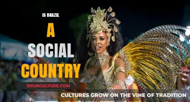 Exploring Brazil's Social Fabric: A Deep Dive into Community and Culture