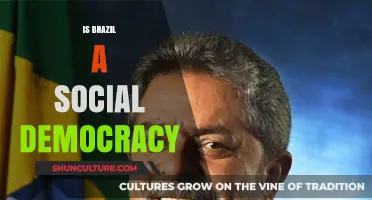 Exploring Brazil's Political Landscape: Social Democracy or Not?