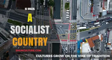 Is Brazil Socialist? Unraveling Its Political and Economic System