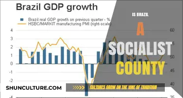 Exploring Brazil's Economic System: Socialist or Not?