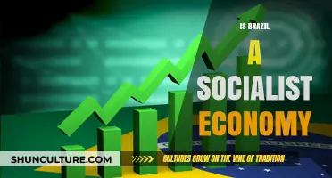 Exploring Brazil's Economic Landscape: Socialist or Not?