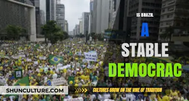 Brazil's Democratic Stability: A Comprehensive Analysis