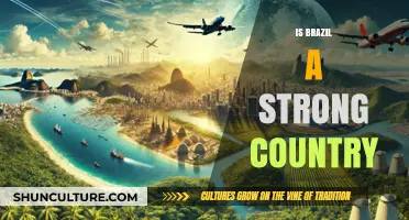 Brazil's Strength: Analyzing Its Economic, Military, and Global Influence