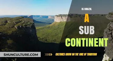 Exploring Brazil's Geographic Status: Subcontinent or Not?