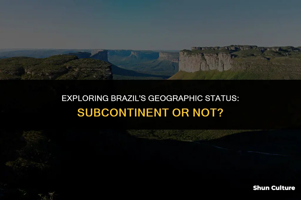 is brazil a sub continent