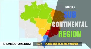 Exploring Brazil's Geographic Status: Sub-Continental or Not?