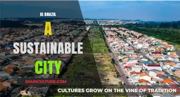 Exploring Brazil's Urban Sustainability: Myths and Realities Unveiled