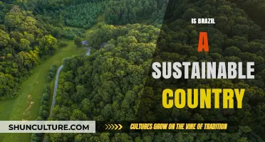 Brazil's Sustainability: Progress, Challenges, and Environmental Impact Explored