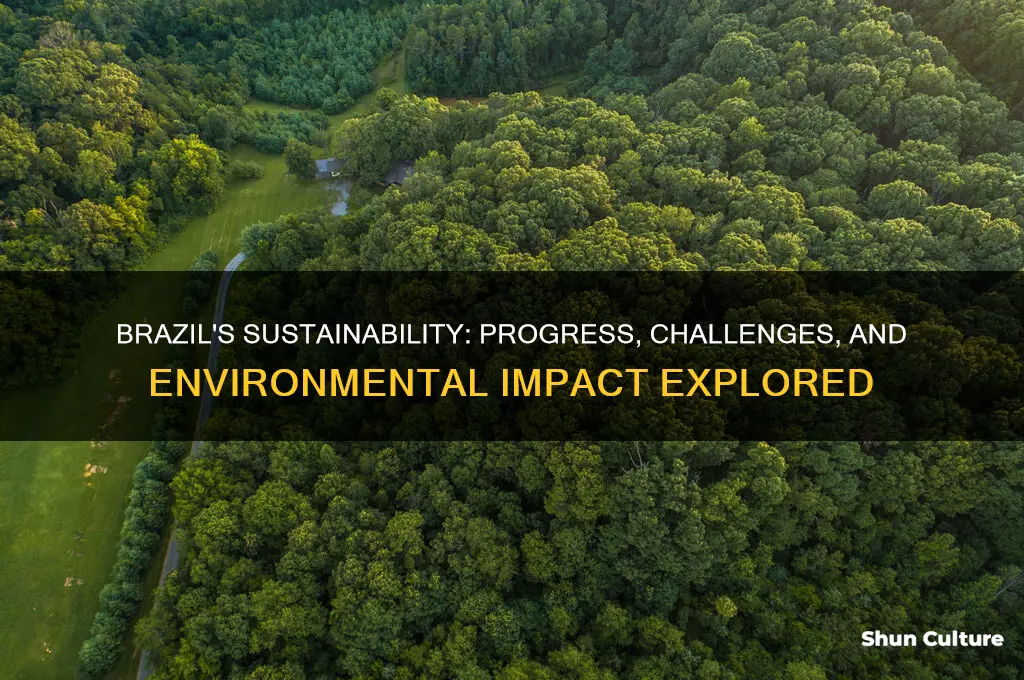 is brazil a sustainable country