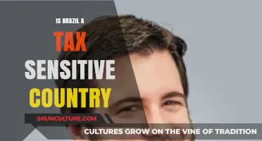 Brazil's Tax Sensitivity: A Comprehensive Analysis of Its Fiscal Policies