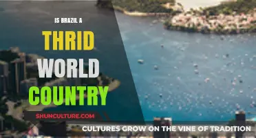 Is Brazil a Third World Country? Exploring Its Economic and Social Status