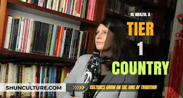Is Brazil a Tier 1 Country? Exploring Its Global Standing