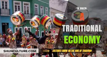 Exploring Brazil's Economic Roots: Traditional or Modern?