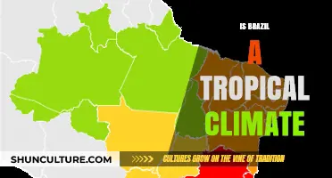 Exploring Brazil's Climate: Is It Truly Tropical?