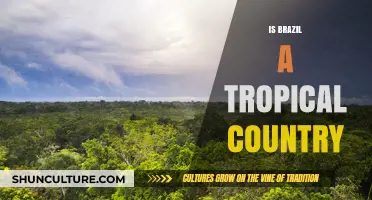 Exploring Brazil's Climate: Is It Truly a Tropical Paradise?