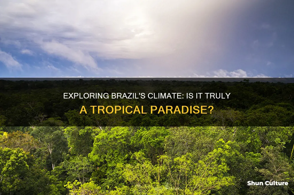 is brazil a tropical country