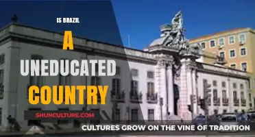 Brazil's Education System: Uneducated or Misunderstood? A Critical Analysis