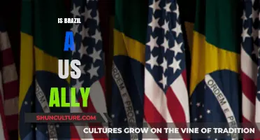 Is Brazil a US Ally? Examining the Complex Diplomatic Relationship