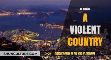Brazil's Violence: Unraveling the Truth Behind the Stereotypes and Statistics