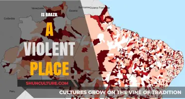 Exploring Brazil's Complex Reality: Beyond the Stereotypes of Violence