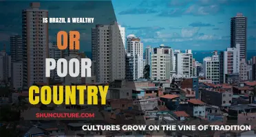Brazil's Economic Paradox: Wealthy Nation or Struggling Population?