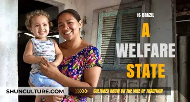 Exploring Brazil's Social Safety Net: A Welfare State Analysis