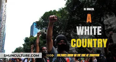 Brazil's Racial Diversity: Debunking the Myth of a White Nation