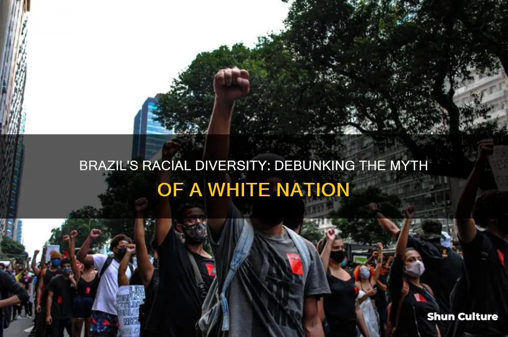 is brazil a white country