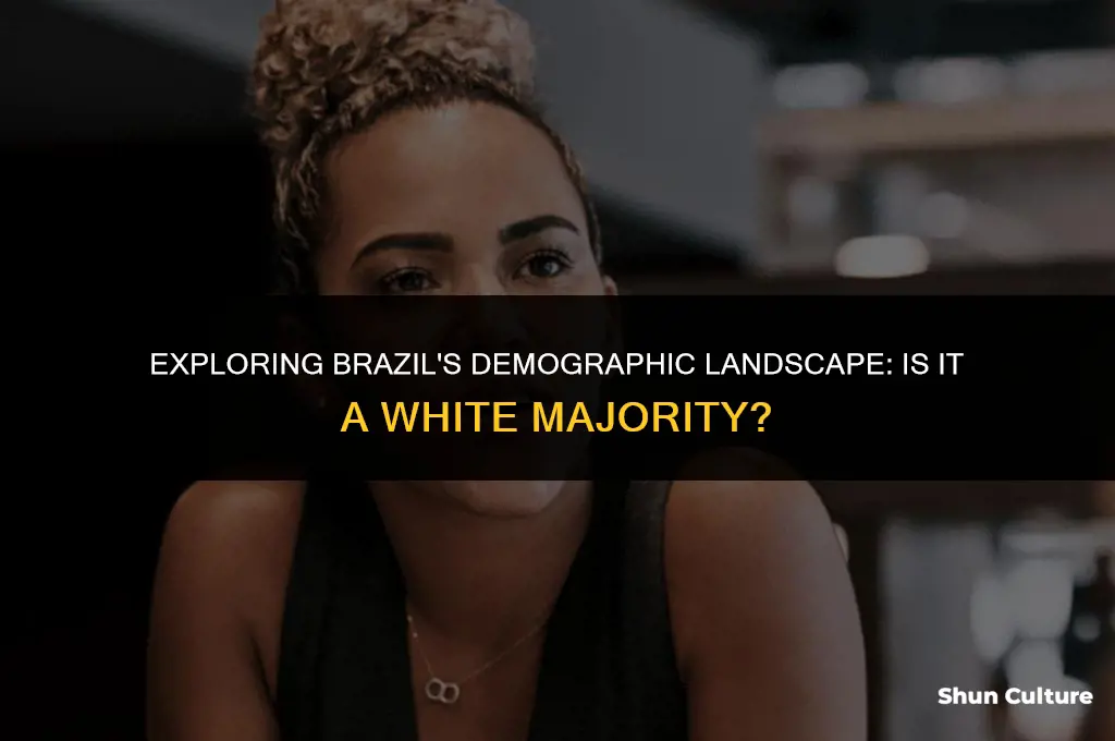 is brazil a white majority