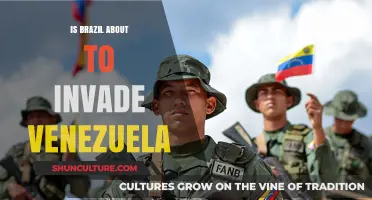 Brazil's Military Posture: Impending Invasion of Venezuela?