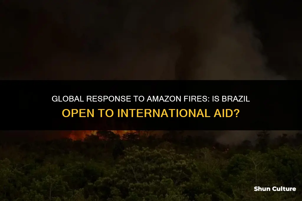 is brazil accepting help amazon fires