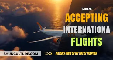 Brazil's International Flight Status: What You Need to Know
