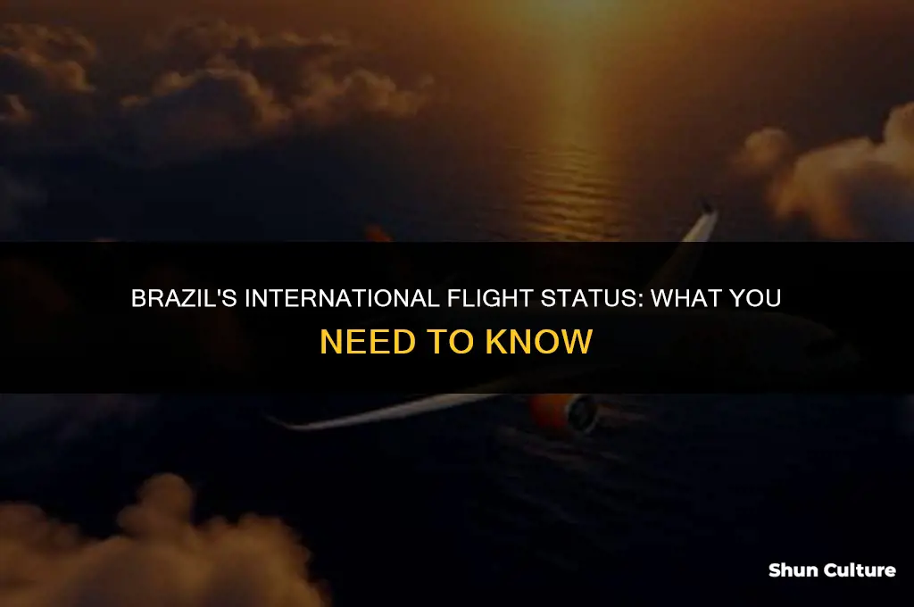 is brazil accepting international flights