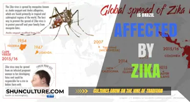 Zika's Impact on Brazil: A Comprehensive Overview