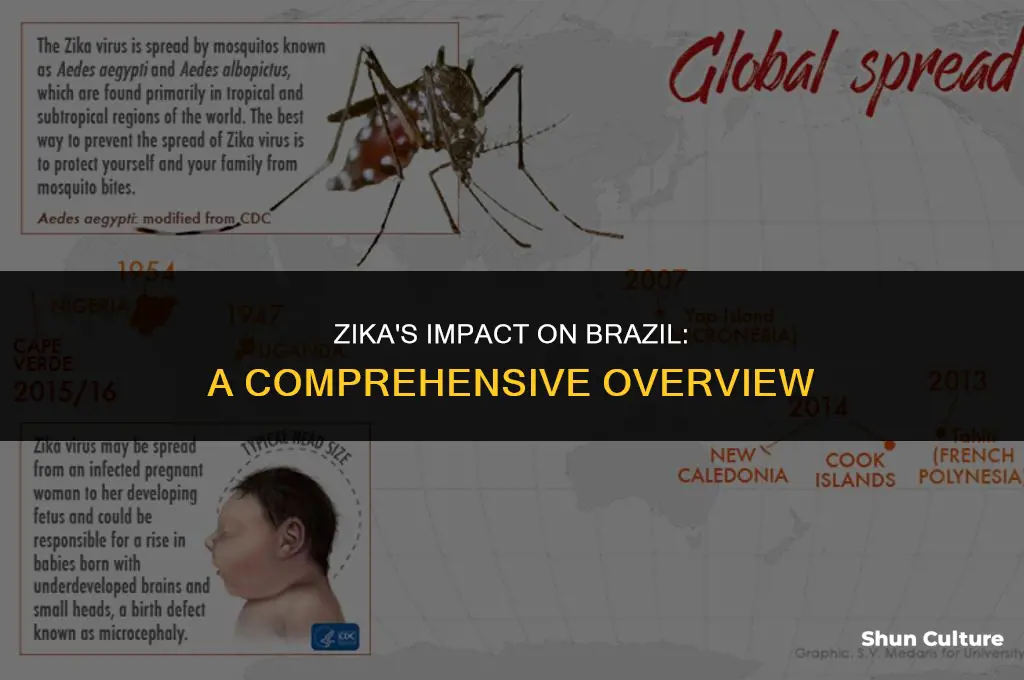 is brazil affected by zika