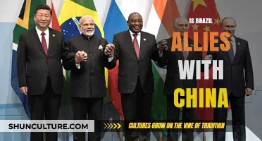 Brazil and China: A Strategic Alliance in the Global Arena