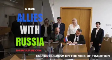 Brazil-Russia Relations: Allies or Strategic Partners in a Shifting World?