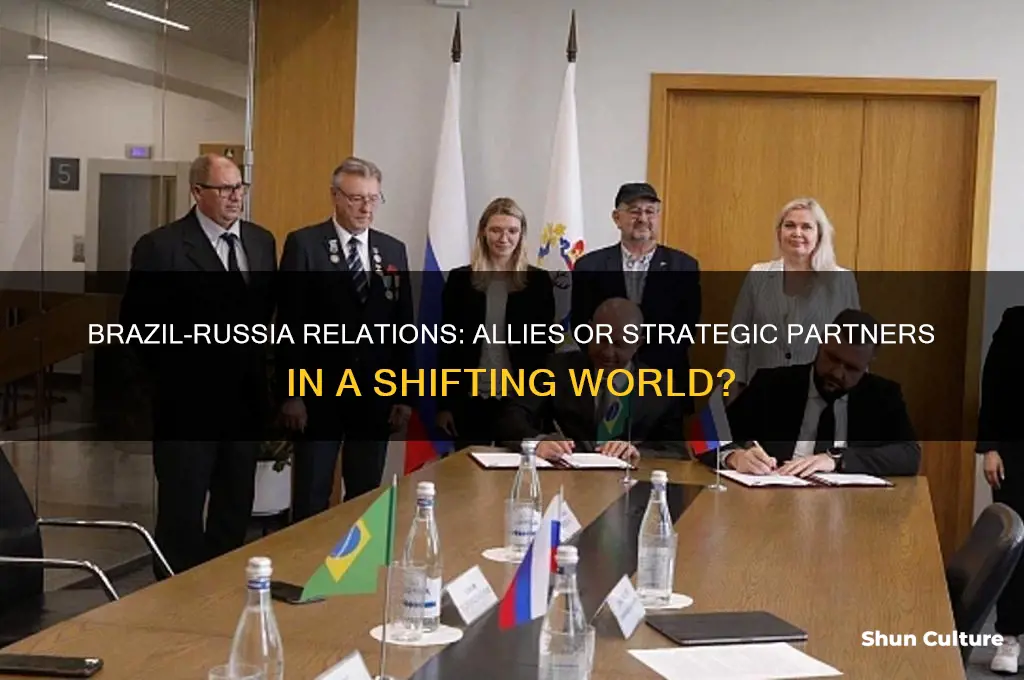 is brazil allies with russia