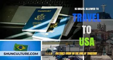 Exploring Travel Restrictions: Can Brazilians Visit the USA?