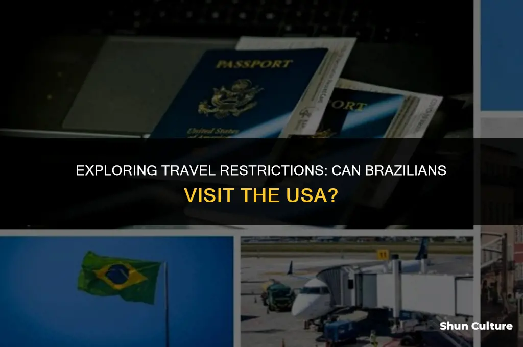 is brazil allowed to travel to usa
