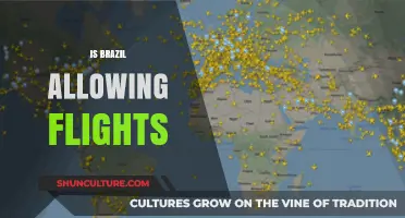 Brazil's Skies: Open or Closed? The Latest on Flight Allowances