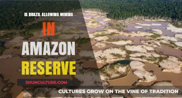 Controversial Decision: Brazil Approves Mining in Amazon Reserve